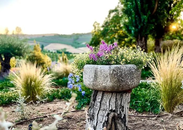 Naranja 빌라 론다